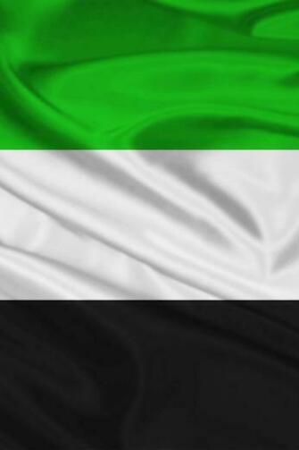 United Arab Emirates Flag iPhone Wallpaper