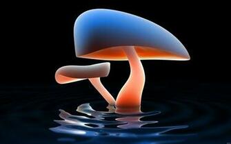 Full HD Wallpaper Abstract Nature Mushrooms Water