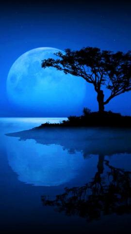 Blue Moon Ideas Beautiful Shoot The