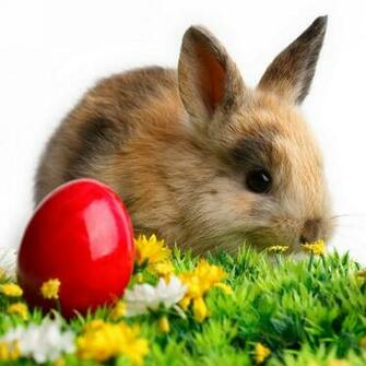 iPad Wallpaper Easter Part Ii
