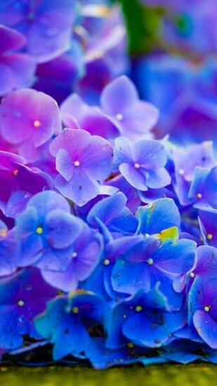 Wallpaper Galaxy S3 X