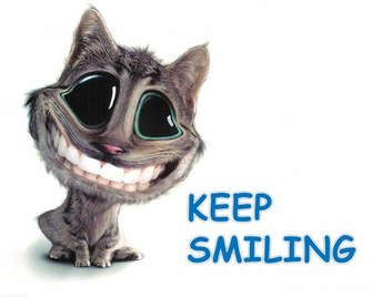 Clip Art And Picture Funny Cat Wallpaper