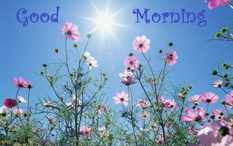 Good Morning Wallpaper HD Computer