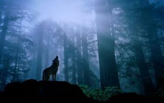 Wolves Background Wallpaper