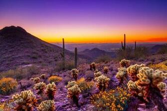 Best Scottsdale Wallpaper Arizona