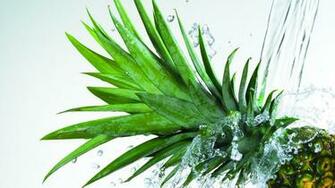 Pineapple Refresh