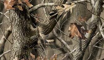 Mossy Oak Desktop Wallpaper Background