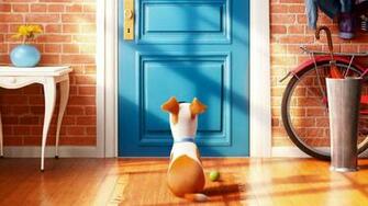 The Secret Life Of Pets Movie Wallpaper HD