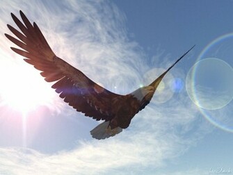 Bald Eagle Wallpaper Fun Animals Wiki Videos Pictures Stories