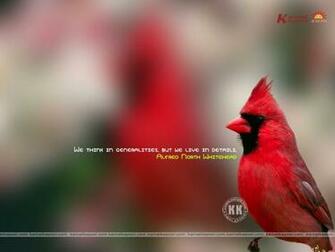 Wallpaper Quote Background Famous Quotes