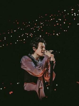 Rachel Scallo On Hs In Harry Styles Wallpaper