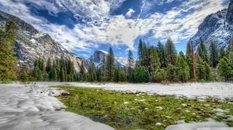 Yosemite Spring Grass UltraHD Wallpaper Printed