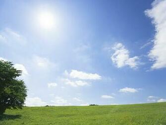 Under Sky Photo Desktop Wallpaper Green Grassland