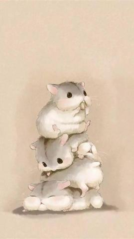 Hamster HD Wallpaper Enwallpaper