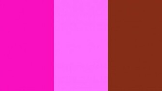 Shocking Pink Crayola And Sienna Three Color Background