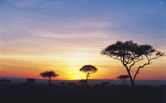 Sunset Skyline On Safari Background Wallpaper