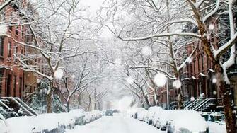 Winter