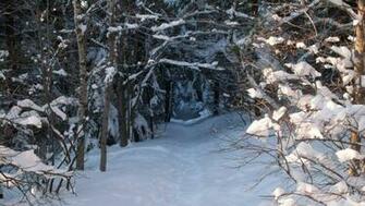 Werper Mt Trail Winter Wallpaper