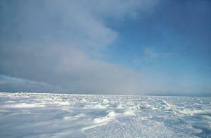 Institute For Global Environmental Strategies K Polar