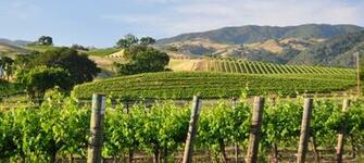 California Coast Wine Country Bike Tour Sojourn