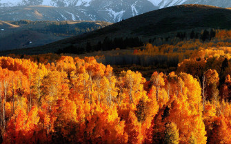 October Wallpaper HD