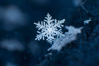 Perfect Snowflakes Captured In Photos Wallpaper