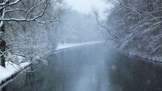 Winter Forest Phone Wallpaper