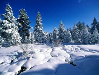 Live Snow Wallpaper Desktop