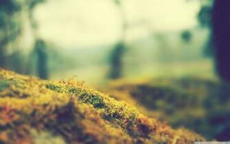 This Wallpaper Gives Your Desktop A New Feeling Link To