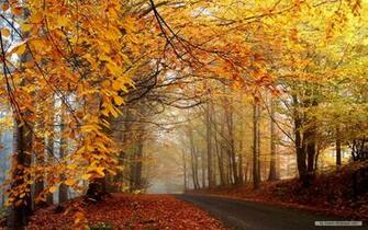 Nature Wallpaper Autumn Landscape