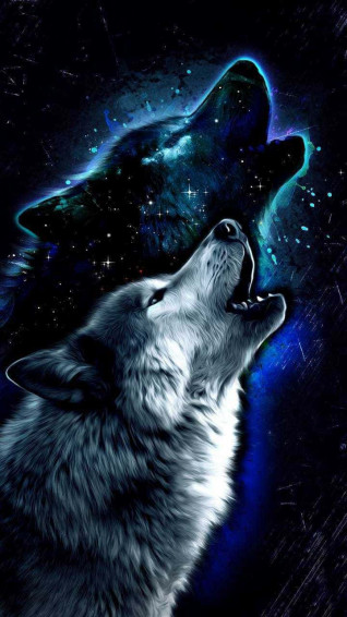 Cool Animal Galaxy Wallpaper