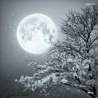 Snow Fall Night Moon Wallpaper Photoshoot Art