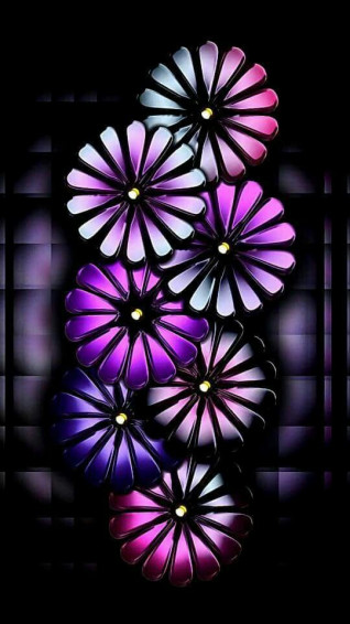 Black And Pink Purple Wallpaper