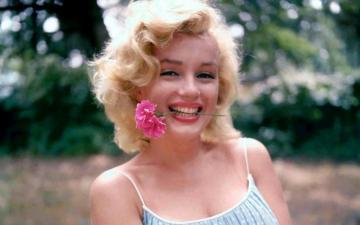 Marilyn Monroe Wallpaper Teahub Io
