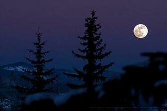 First Snow Silent Moon Aspen Valley Colorado Wallpaper