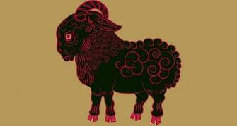 China Zodiac Paper HD Wallpaper Wallpaper55 Best