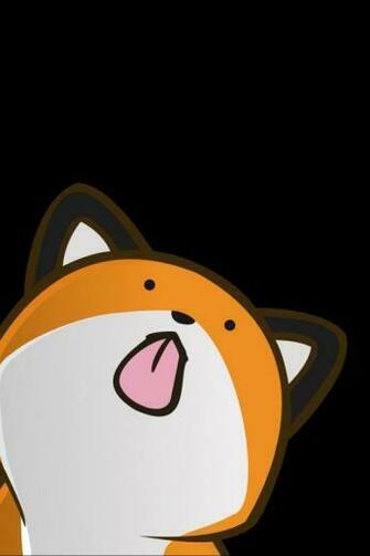 Wallpaper Stupid Fox Language On The Other Side Of