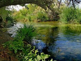 A Quiet Place Sky Rivers Nature Forests HD Wallpaper