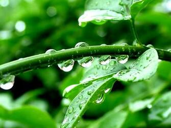 Nature Wallpaper Pack Csarchive Net