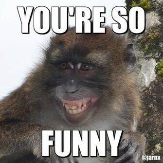 Funny Monkey Pictures With Captions High Definition Widescreen