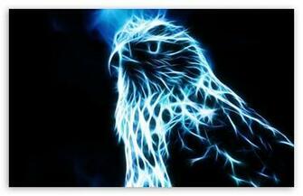 Eagle HD Desktop Wallpaper Widescreen High Definition Fullscreen