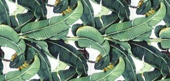 Hinson Martique Wallpaper Palm Leaf Interiors Inspiration Pintere