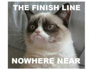 Grumpy Cat Marathon Image Pictures Becuo