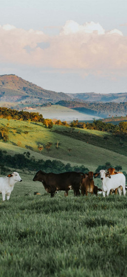 Ranch 3x0gv9e1c7v8flfh Wallpaper