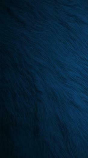 Blue Fur iPhone Wallpaper
