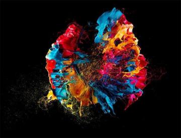 HD Ultra Slow Motion Image And Wallpaper