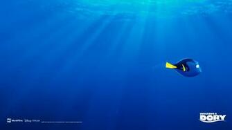1er Wallpaper De Buscando A Dory Moviefilms