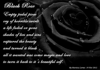 Rose Wallpaper HD For Walls Mobile Phone Widescreen