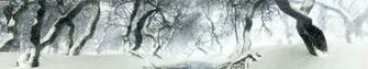 Canopycreekwinter13x1440p High Resolution HD Wallpaper Of General