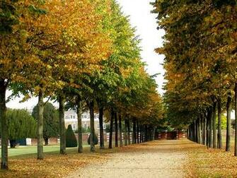Video Description Fall Wallpaper Originals Provides Original
